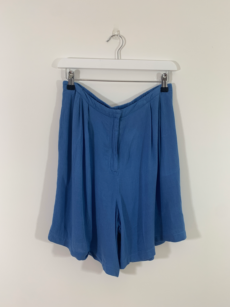 Blue Flippy High Waisted Shorts (Size 12)