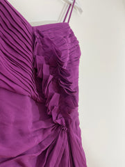 Purple Maxi Ruffle Dress (Size 6)